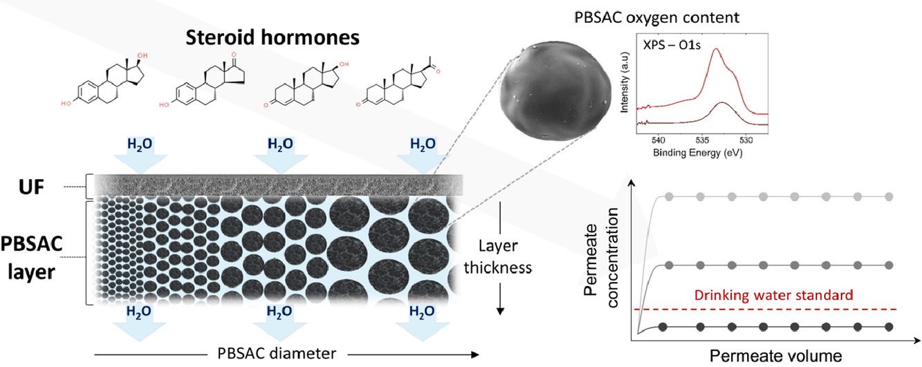 Polymermembranen mit Kohlenstoff-Mikropartikeln entfernen
