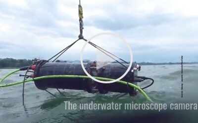 Aquascope: shedding light on underwater life