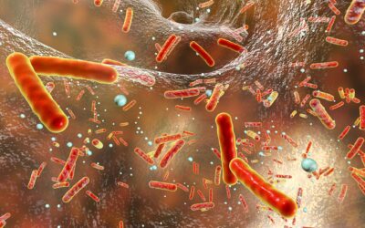 Study manifests the link between antibiotic resistant genes in rivers and prescribings of antibiotics