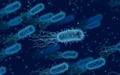 Engineers devise new method to remove E. coli from water