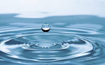 New membrane technology to boost water purification and energy storage