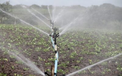 EU Council adopted new rules for water reuse for agricultural irrigation