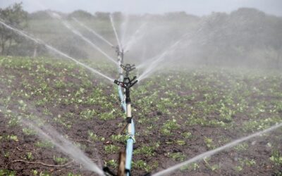 EU Commission seeks to stimulate water reuse for irrigation