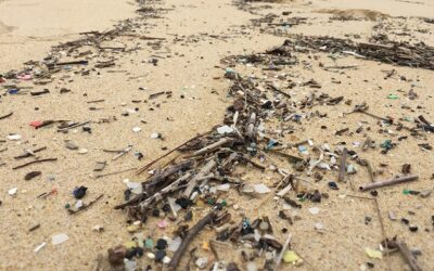 LimnoPlast: European project on plastic litter in fresh water