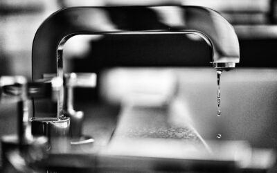 Mikrosystem zur Detektion von Bakterien im Trinkwasser