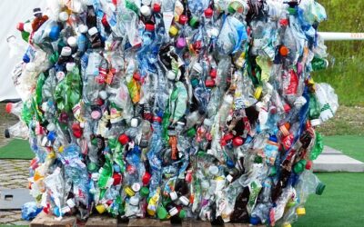 Plastiksteuer soll Recycling forcieren