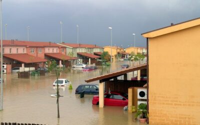 Flood control: AI helps predict natural disasters