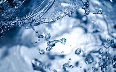 „Ökoworld for Future – Wasserpreis 2020“: Jetzt Projekt einreichen!