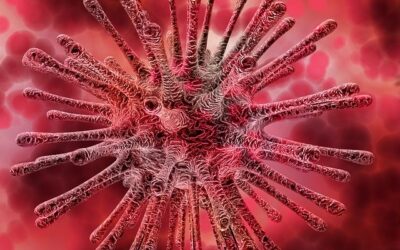 Coronavirus: research update webcast on March 12