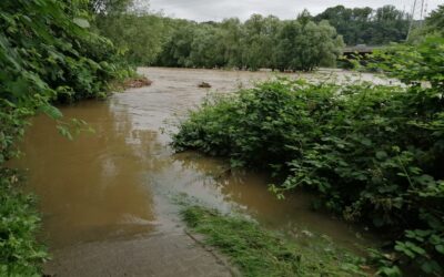 Hochwasser und Sturzfluten durch Tief “Bernd”: Möglichkeiten und Grenzen der Starkregenvorsorge