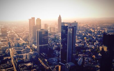 Frankfurter Stadtgrün im Klimawandel