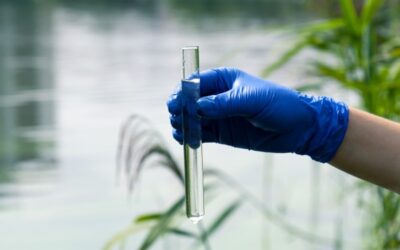 Neuer Indikator für Pestizide zeigt hohe Belastung in europäischen Gewässern
