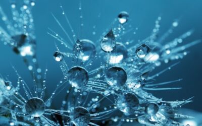 Neue Forschungsallianz “Wasser und Nachhaltigkeit” gegründet