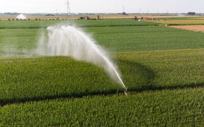 NRW fördert Bewässerungsprojekt mit 5,6 Mio. Euro