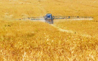 Pestizidbelastung: Schweizer Nationalrat fordert Verursacherbeteiligung bei der Wasseraufbereitung