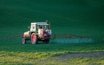 Glyphosat-Verbot: Wasserversorger und Landwirte aus Köln erarbeiten alternative Verfahren