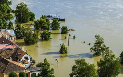 Study shows advantages of ecological flood protection