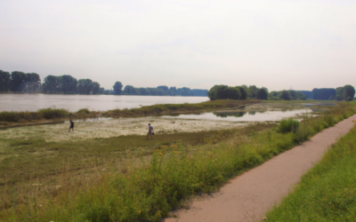 Bodenbeschaffenheit und Überschwemmungsfrequenz beeinflussen Plastikgehalt in Flussauen