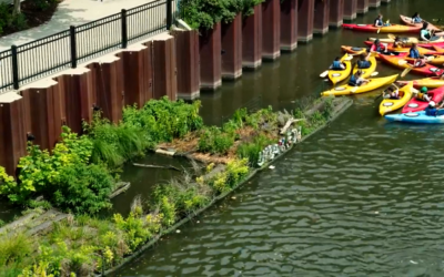 Wild Mile: a floating eco-park is coming to life in the Chicago River