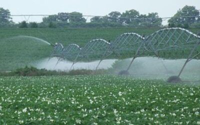 Dürresommer: Ist Landwirtschaft ohne Bewässerung noch möglich?