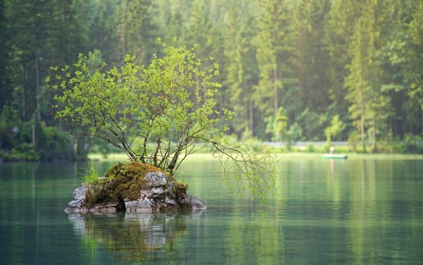 wasser Fluss See Baum grün Natur