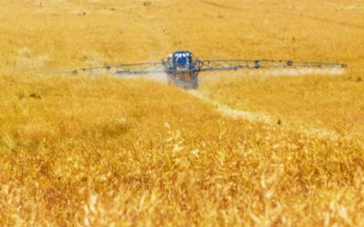 Studie zeigt: Landwirt:innen akzeptieren Dünger aus Bioabfall und Haushalts-Abwasser