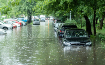Hochwassersschutz: Zentrale Verteilung von Informationen ist wichtig