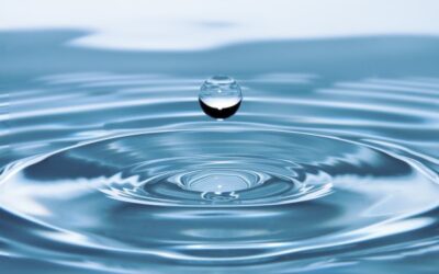 Wie gut sind unsere Trinkwasserressourcen?