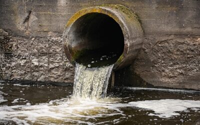 Herstellerverantwortung im Wasserrecht verankern
