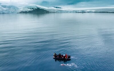 In the frozen waters of Antarctica