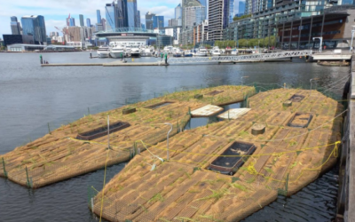 Floating ecosystems launched in Melbourne