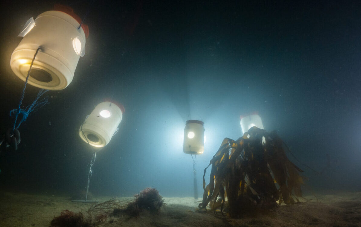 Unterwasserschall