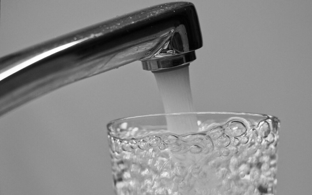DVGW begrüßt Zustimmung zur Trinkwassereinzugsgebieteverordnung